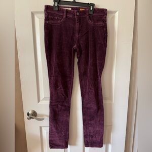 Anthropologie Pilcro and the Letterpress Serif Purple‎ Velvet Pants Size 27